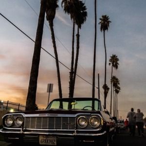 Meet your Posher, Toni